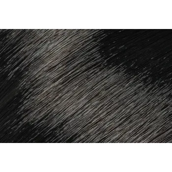 L\'ANZA 10 MINUTE EXPRESS COLOR 4NN