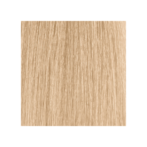 Moroccanoil Color Eclipse Permanent Haircolor 10n