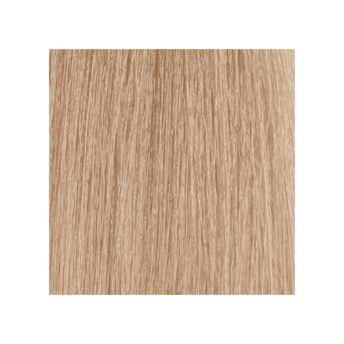 Moroccanoil Color Eclipse Permanent Haircolor 9gv
