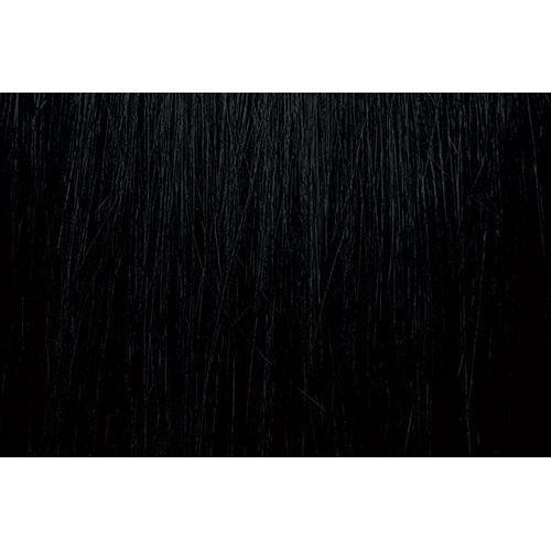 PRAVANA CHROMASILK 1N/1