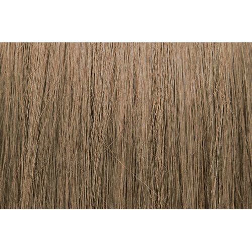 PRAVANA CHROMASILK 8N/8