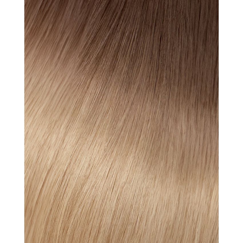 BABE 22.5" HAND TIED WEFTS #12/60 OMBRE LOUISE