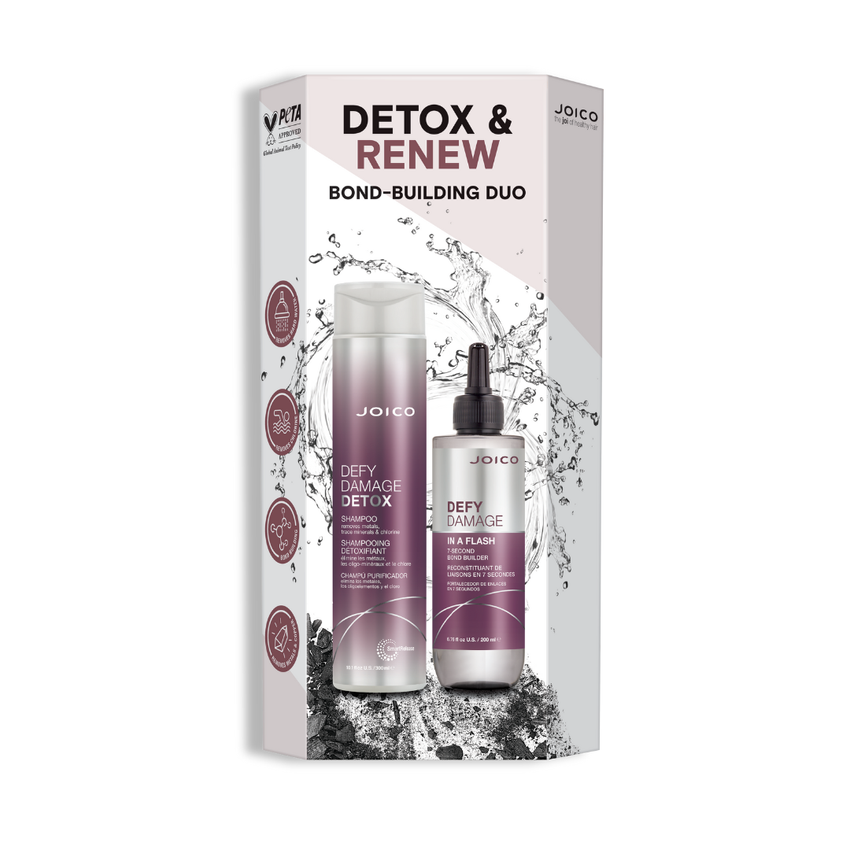 JOICO DETOX & RENEW BOX SET