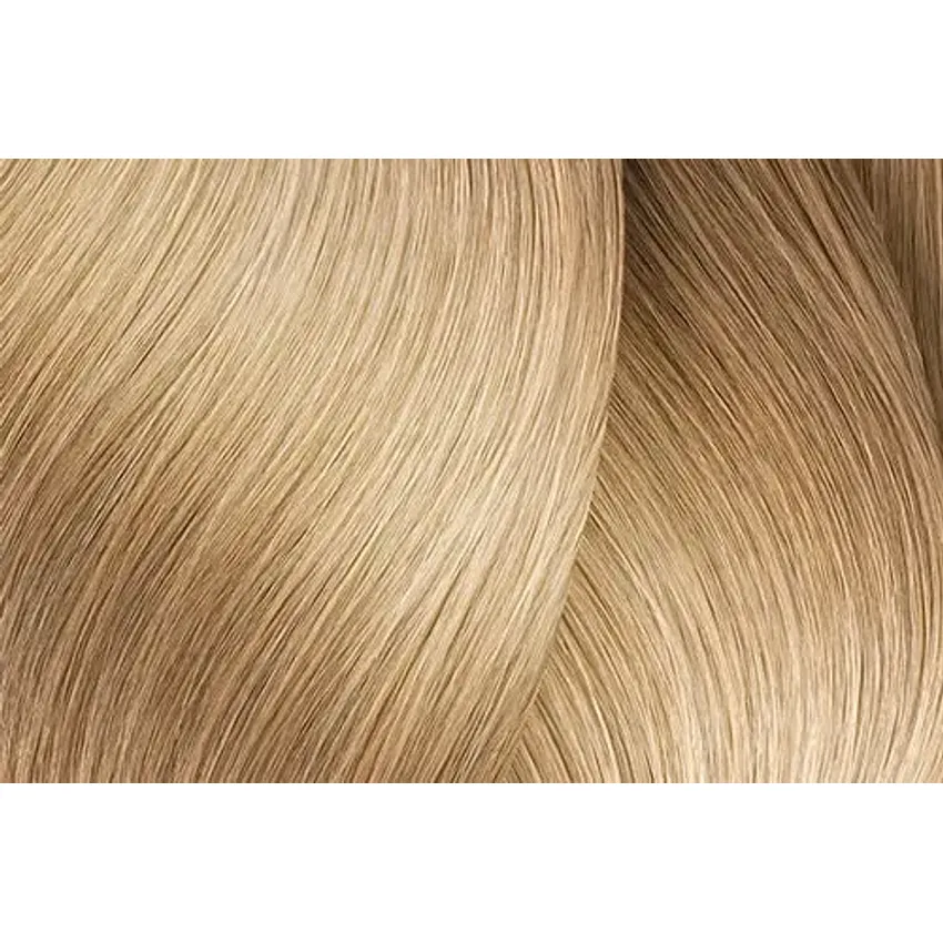 L\'OREAL PROFESSIONNEL MAJIREL 10.31 10GB *NEW*