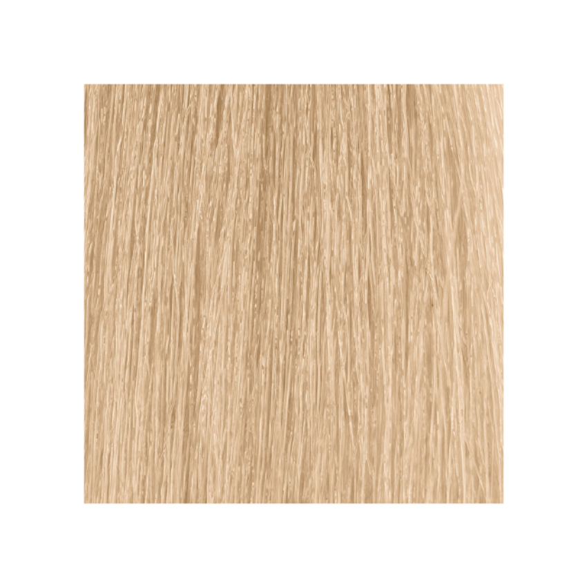 Moroccanoil Color Eclipse Permanent Haircolor 10n