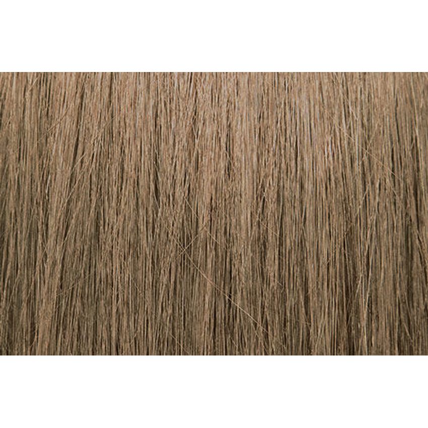 PRAVANA CHROMASILK 8N/8