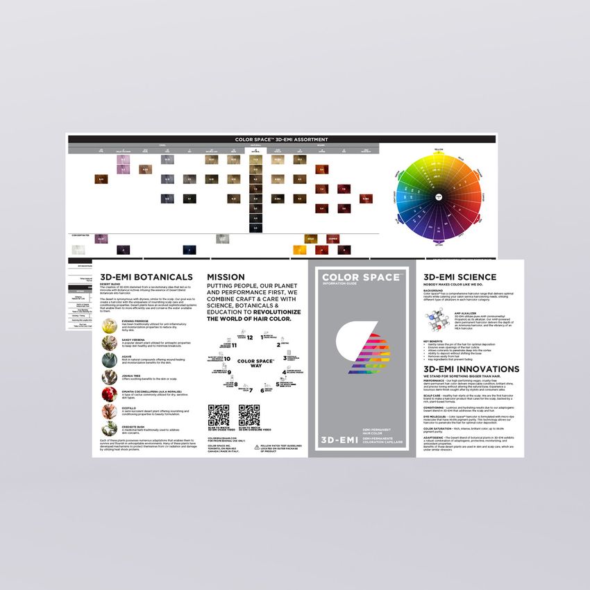 COLOR SPACE 3D-EMI INFO GUIDE