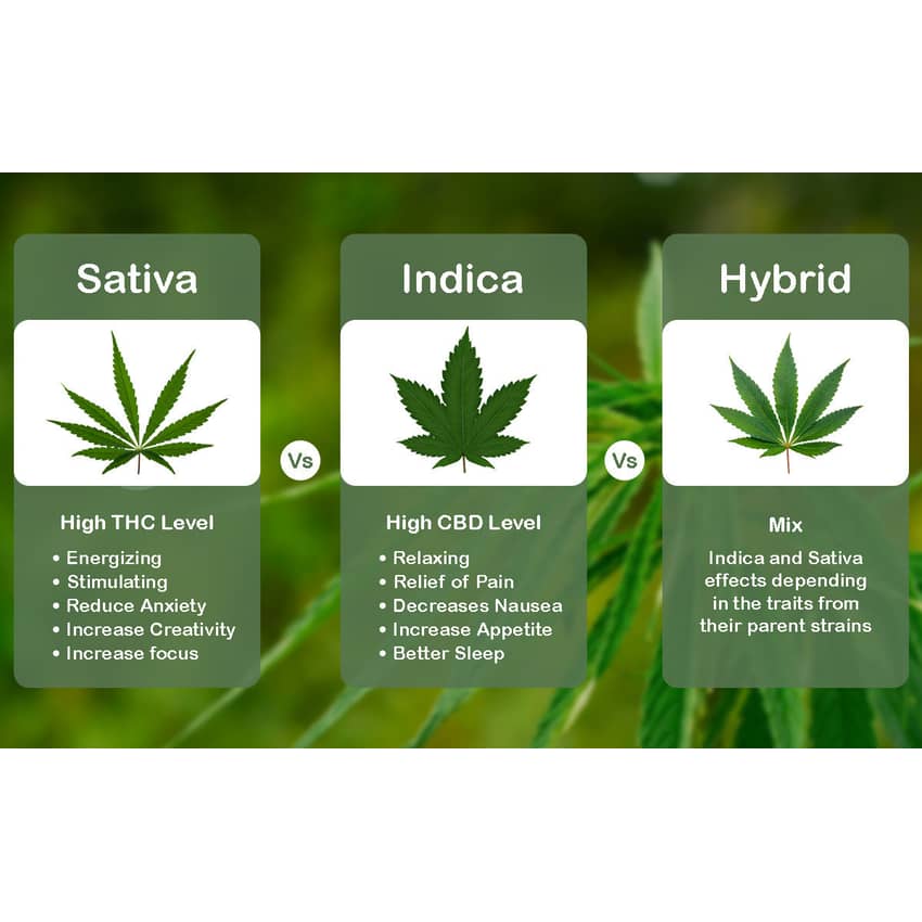 Toke | Indica | .5 G 3Pk