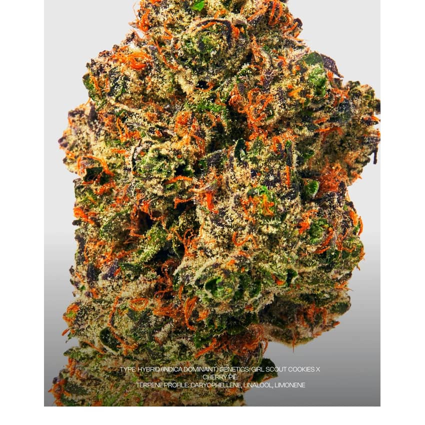 Bison Botanics | Cookies n Cream | Flowe