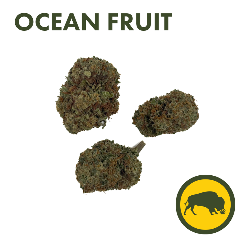 Bison Ocean Fruit 8th - fa26004
