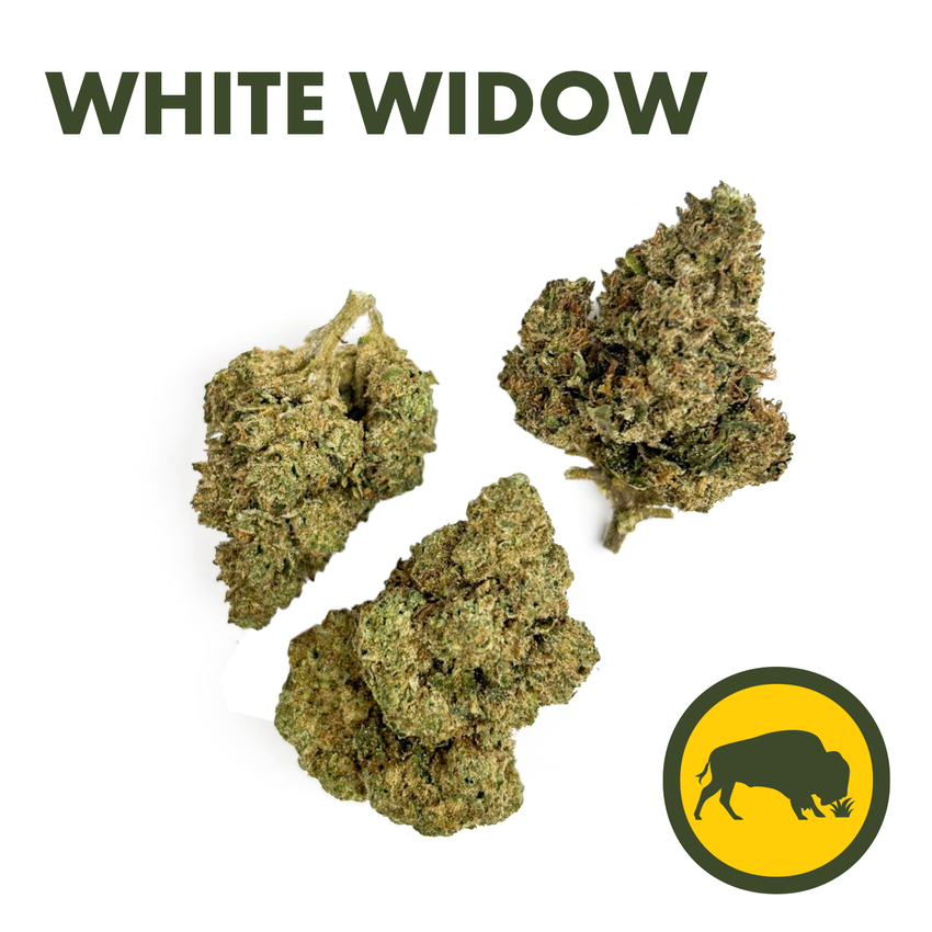 Bison Botanics | White Widow | Flower | 3.5g