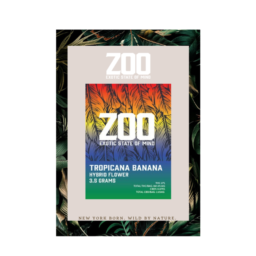 Zoo | Tropicana Banana | Flower | 3.5g
