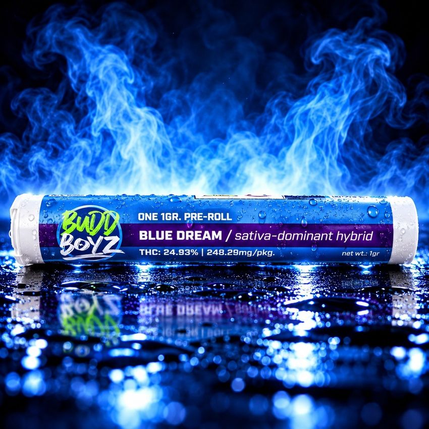 Budd Boyz | Blue Dream | Pre Roll | 1g