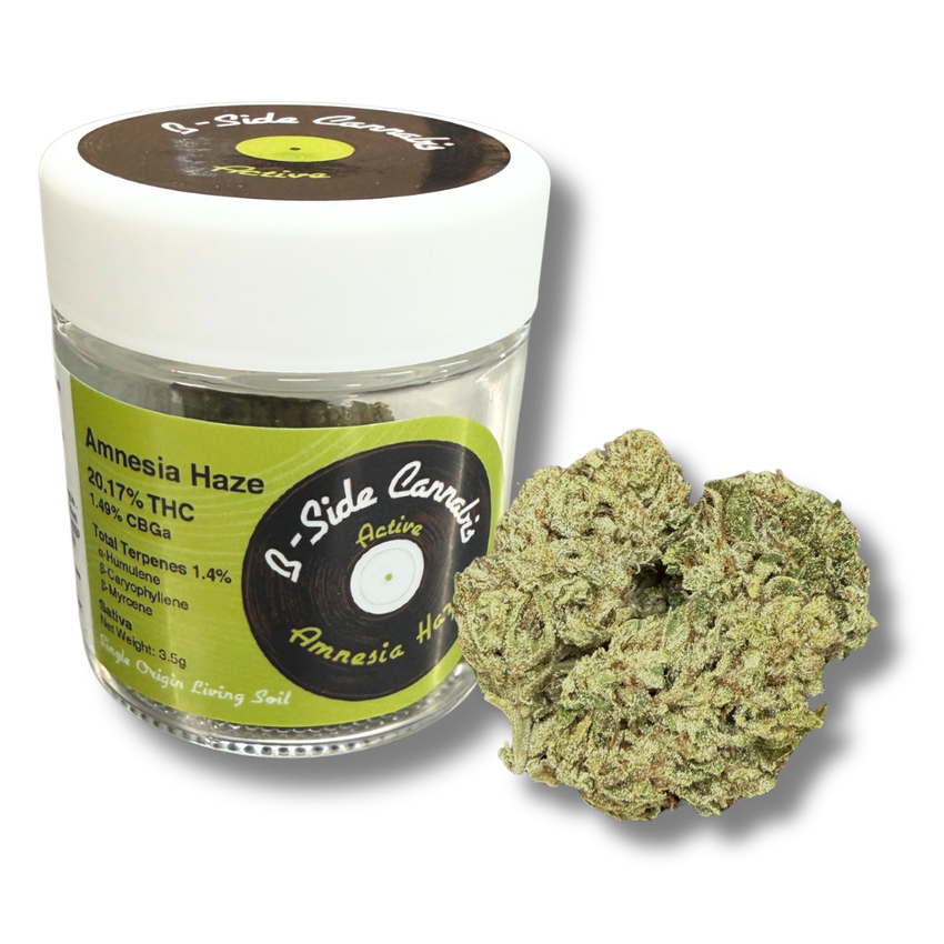 B-Side | Flower | Amnesia Haze | 3.5g