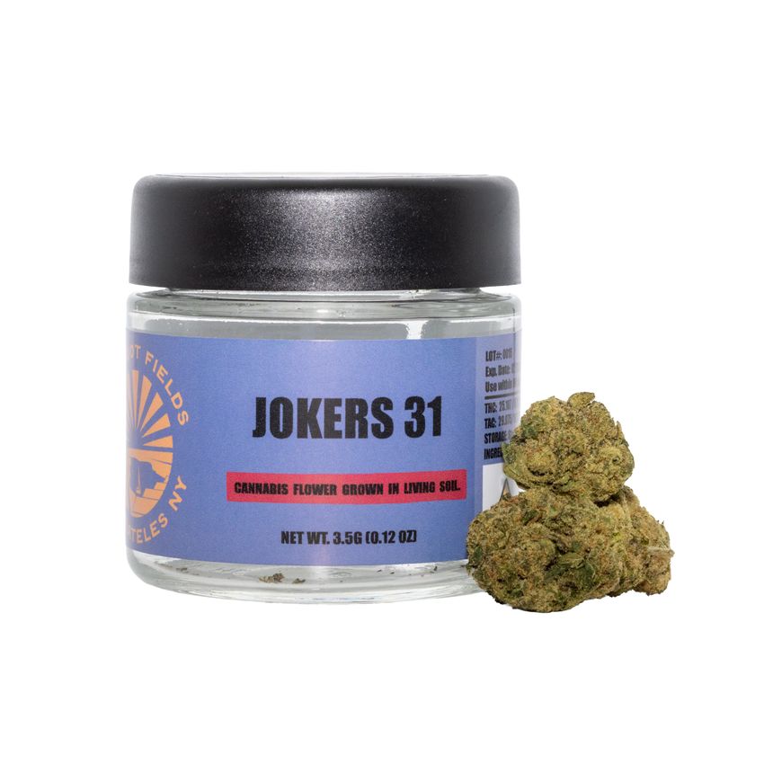 Tap Root Family | Jokers 31 | Flower 1/8th