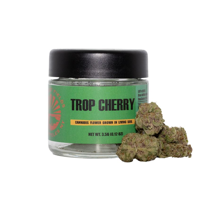 Tap Root Family | Trop Cherry | Flower 1/8th