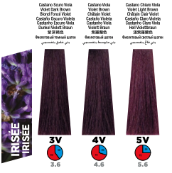 Itely Colorly Optimus 4V Violet Medium Brown