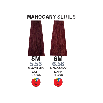 Itely Aquarely 6M Mahogany Dark Blonde