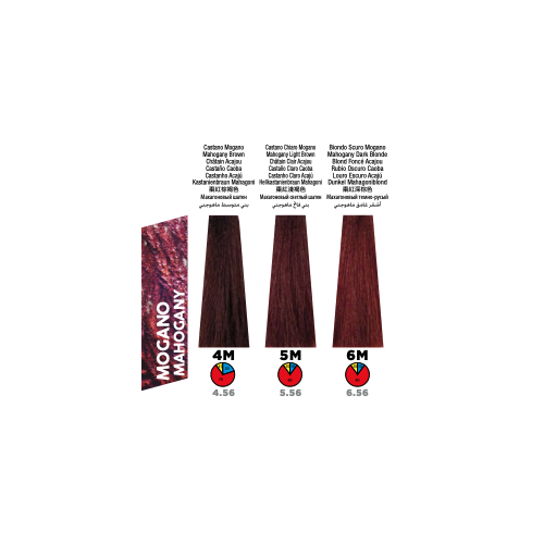 Itely Colorly 2020 7MP Mahogany Plum Blonde