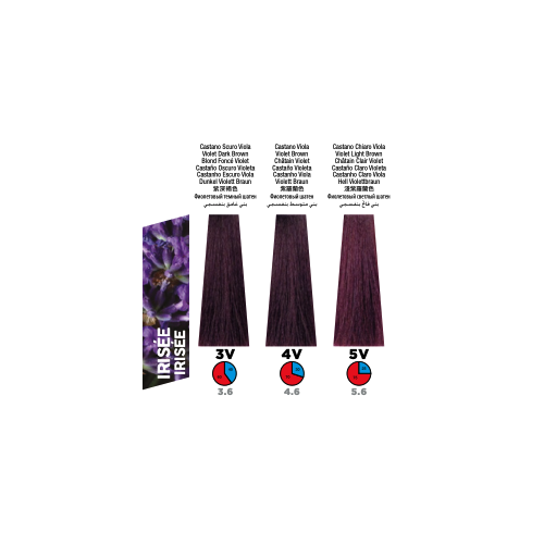 Itely Colorly Optimus 4V Violet Medium Brown