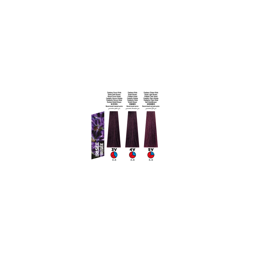 Itely Colorly Optimus 4V Violet Medium Brown